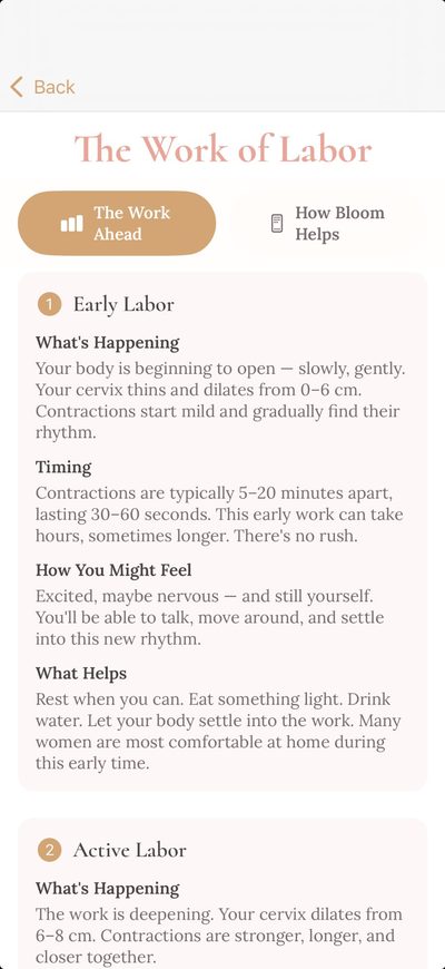 Labor stages guide